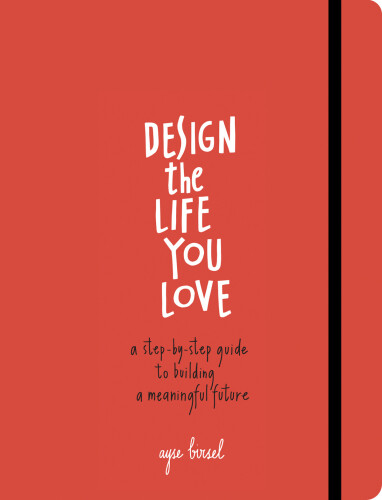 Design the life you love : a step-by-step guide to building a meaningful future