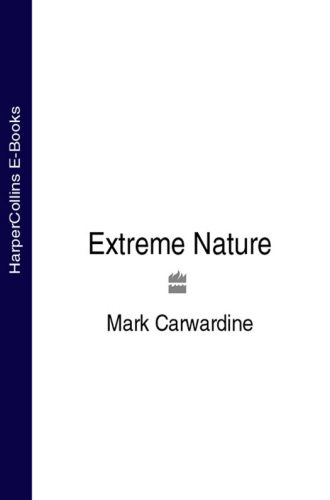 Extreme nature