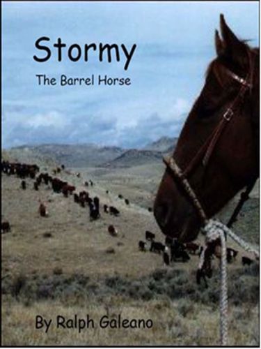 Stormy, the barrel horse