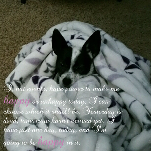 On Being Human: Why Mind Matters