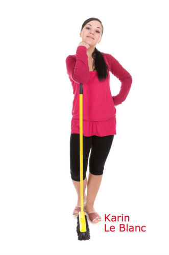 Home speed cleaning tips & clutter control : an organized & happy home, 100% guaranteed!