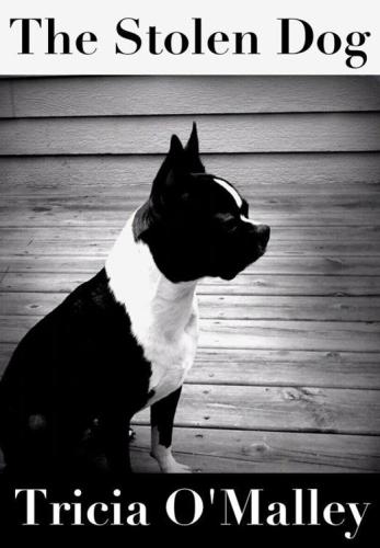The Stolen Dog: A True Story