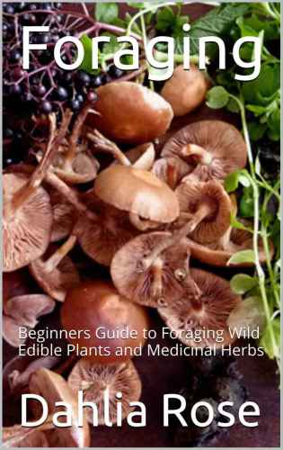 Foraging: Beginners Guide to Foraging Wild Edible Plants and Medicinal Herbs