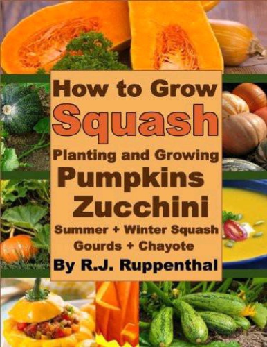 How to Grow Squash: Planting and Growing Pumpkins, Zucchini, Summer and Winter Squash, Gourds, and Chayote