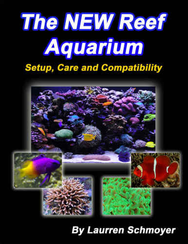 The New Reef Aquarium Setup Care and Compatibility