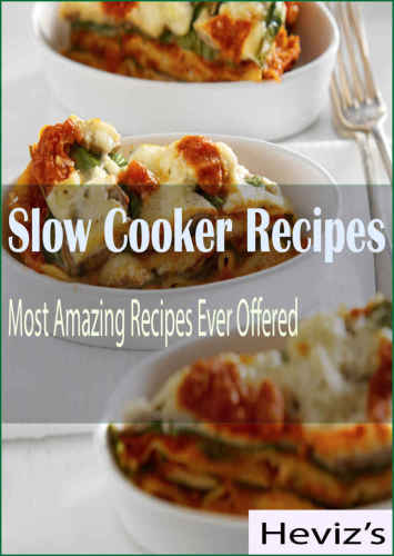 Slow Cooker Recipes: Most Amazing Recipes Ever Offered Over 100 Recipes: slow cooker recipes vegetarian , slow cooker recipes for two slow cooker recipes for diabetics