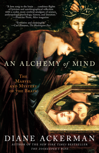 An alchemy of mind : the marvel and mystery of the brain