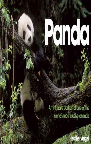 Panda : an intimate portrait of one of the world's most elusive creatures