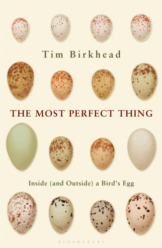 The Most Perfect Thing: Inside and Outside a Bird's Egg