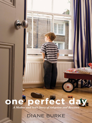 One perfect day : a mother and son's story of adoption and reunion