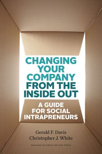 Changing Your Company from the Inside Out: A Guide for Social Intrapreneurs