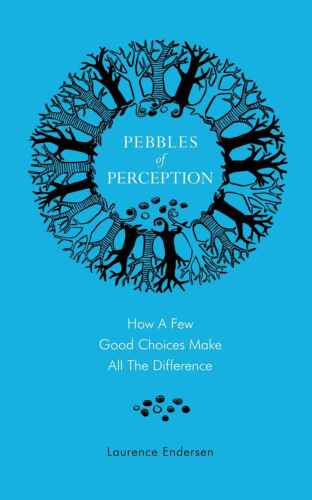 Pebbles of perception : how a few good choices make all the difference