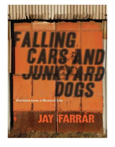 Falling cars and junkyard dogs : portraits from a musical life