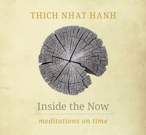 Inside the now : meditations on time