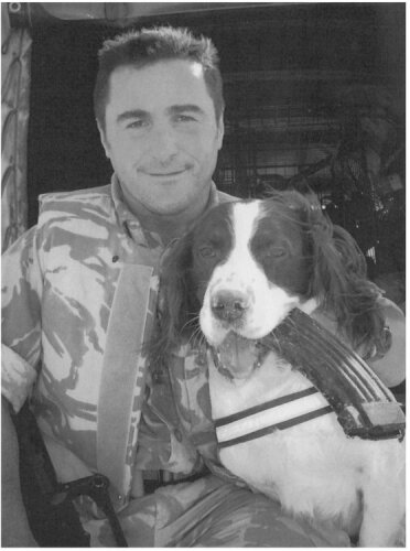 The Animal Victoria Cross: The Dickin Medal