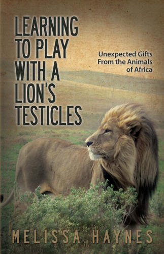 Learning to play with a lion's testicles : unexpected gifts from the animals of Africa