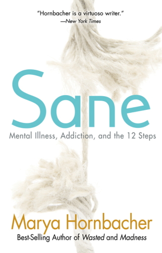 Sane : mental illness, addiction, and the twelve steps