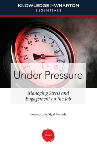 Under Pressure : managing stress and engagement on the job
