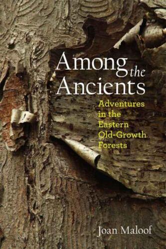 Among the Ancients : Adventures in the Eastern Old-Growth Forests