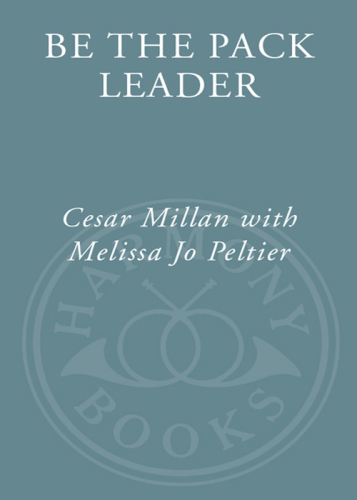 Be the Pack Leader: Use Cesar's Way to Transform Your Dog . . . and Your Life