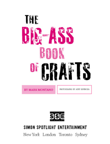 The big-ass book of crafts