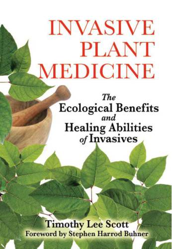 Invasive Plant Medicine: The Ecological Benefits and Healing Abilities of Invasives