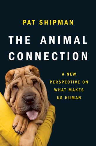 The animal connection : a new perspective on what makes us human