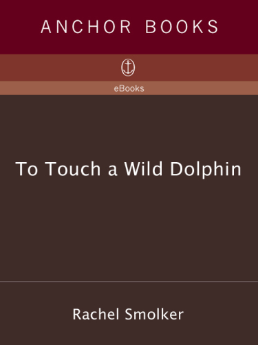 To touch a wild dolphin : a journey of discovery with the sea's most intelligent creatures