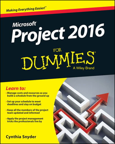 Project 2016 for dummies