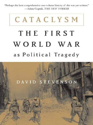 Cataclysm : the First World War as political tragedy