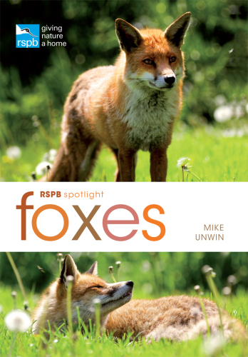 RSPB Spotlight: Foxes