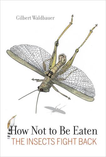 How not to be eaten : the insects fight back