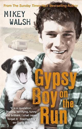 Gypsy boy on the run : my escape from a life among the Romany gypsies