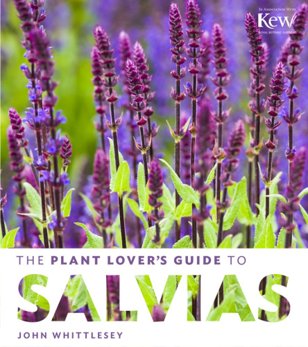 The Plant Lover's Guide to Salvias