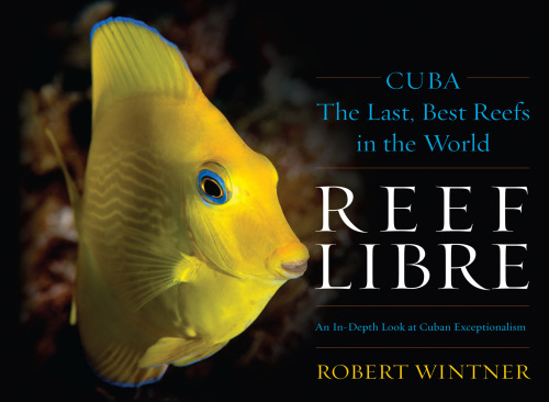 Reef libre : Cuba-- the last, best reefs in the world