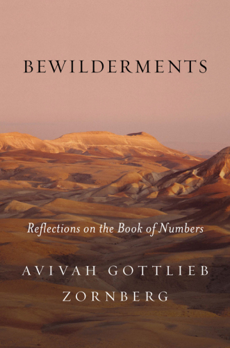 Bewilderments : reflections on the Book of Numbers