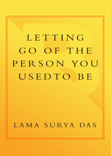 Letting go of the person you used to be : lessons on change, loss, and spiritual transformation