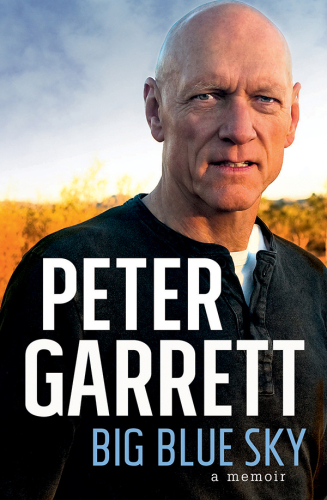 Big blue sky : a memoir