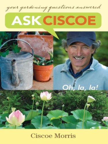 Ask Ciscoe : Oh, la, la! Your Gardening Questions Answered
