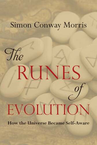 The runes of evolution : how the universe became self-aware