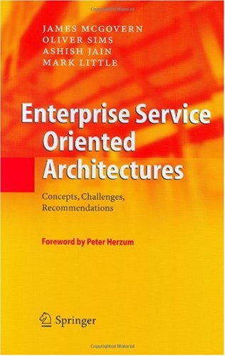 Enterprise Service Oriented Architectures: Concepts, Challenges, Recommendations