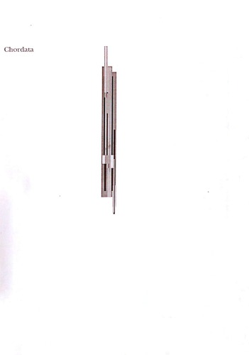 Chordata: manual para um curso prático