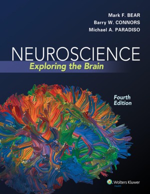 Neuroscience  Exploring the Brain