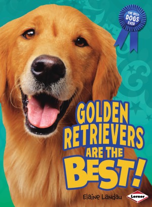 Golden Retrievers Are the Best! (The Best Dogs Ever)