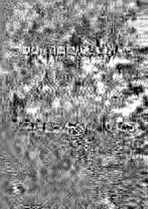 Vocabulaire pour adolescents. 250 exercices. Niveau debutant