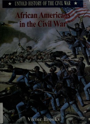 African Americans in the Civil War (Untold History of the Civil War)