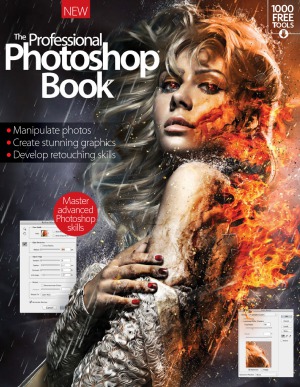 The Professional Photoshop Book