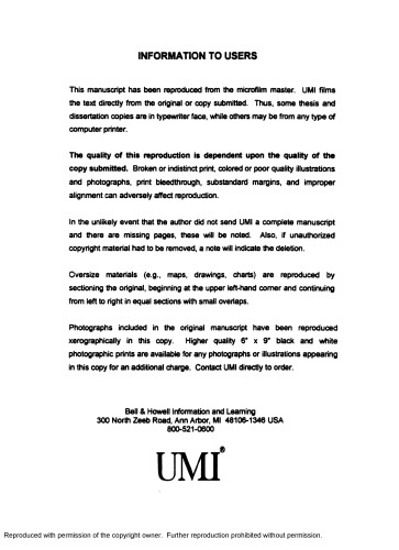 Subjective vision and fragmentation in late medieval France, Burgundy, and Flanders