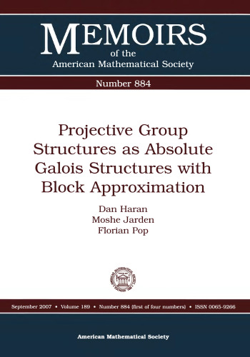Projective Group Structures as Absolute Galois Structures with Block Approximation