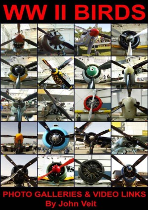 WW II BIRDS